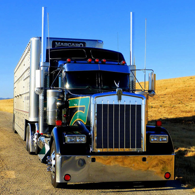 DOT MCS 150 Record Update